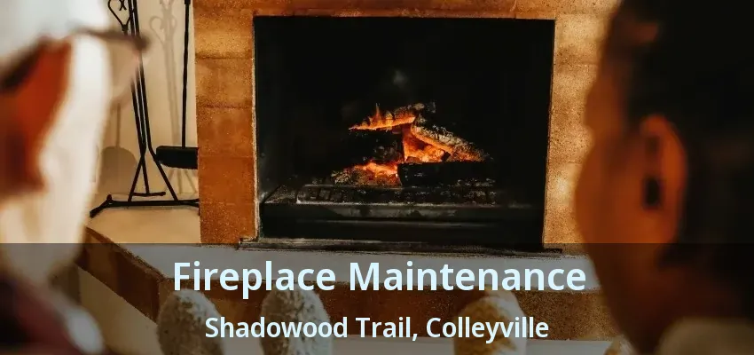 Fireplace Maintenance Shadowood Trail, Colleyville - TX
