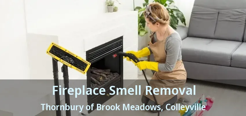 Fireplace Smell Removal Thornbury of Brook Meadows, Colleyville - TX