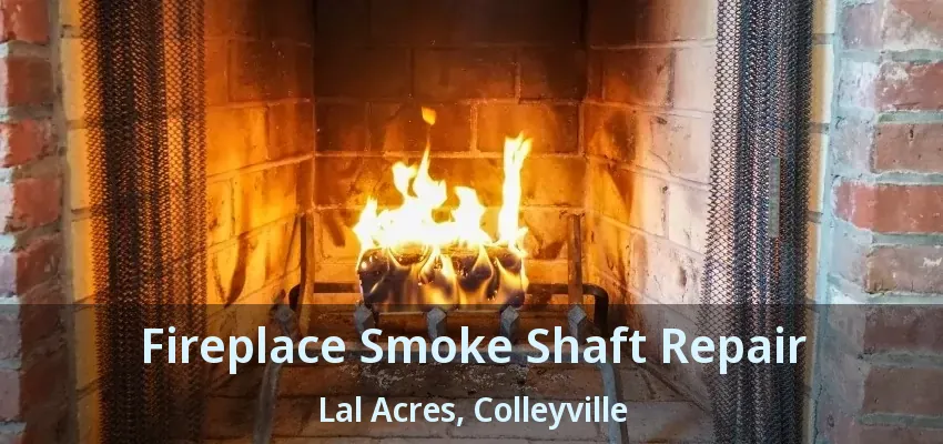 Fireplace Smoke Shaft Repair Lal Acres, Colleyville - TX