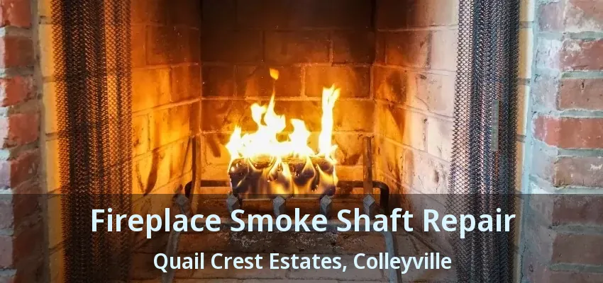 Fireplace Smoke Shaft Repair Quail Crest Estates, Colleyville - TX