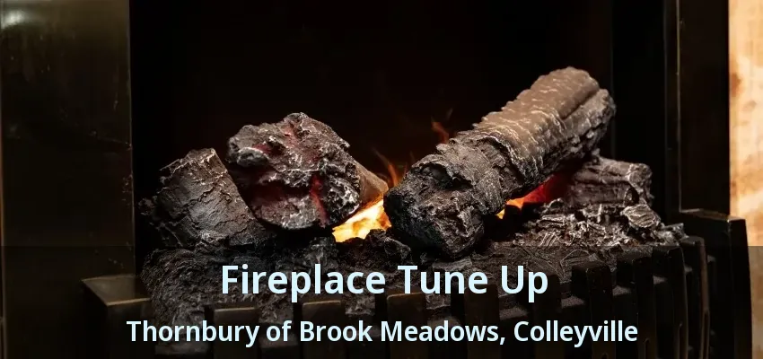 Fireplace Tune Up Thornbury of Brook Meadows, Colleyville - TX