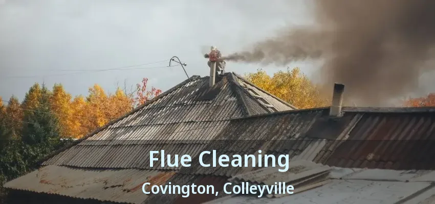 Flue Cleaning Covington, Colleyville - TX