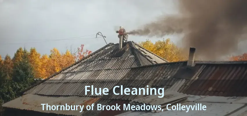 Flue Cleaning Thornbury of Brook Meadows, Colleyville - TX