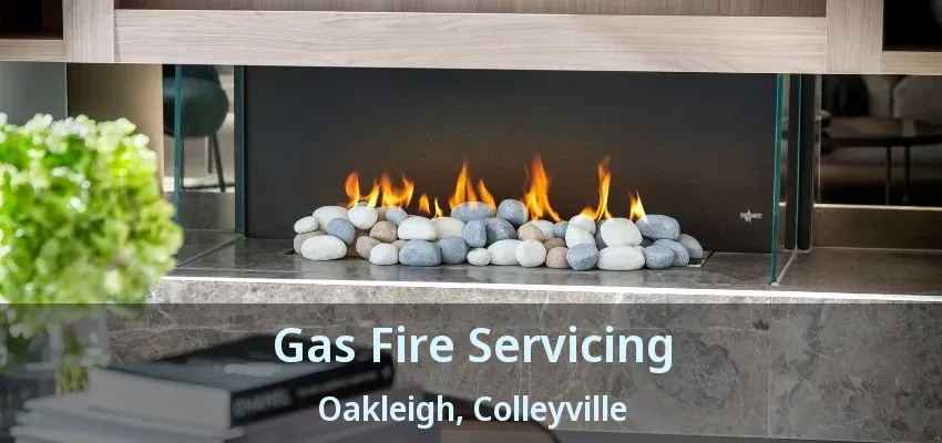 Gas Fire Servicing Oakleigh, Colleyville - TX