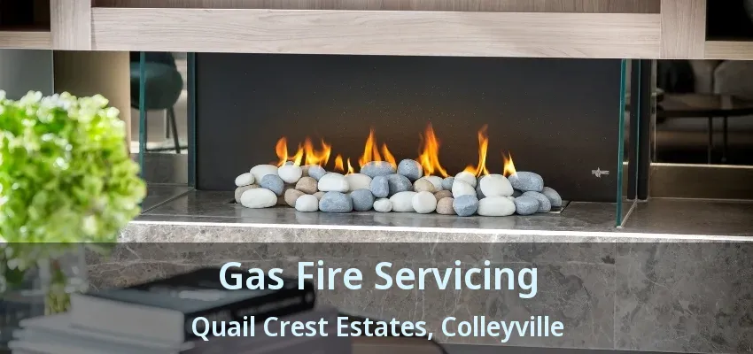 Gas Fire Servicing Quail Crest Estates, Colleyville - TX