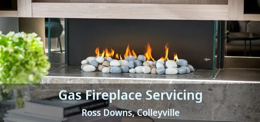 Gas Fireplace Servicing Ross Downs, Colleyville - TX