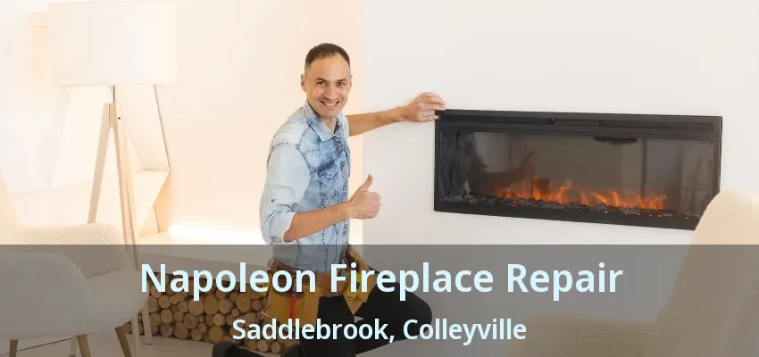 Napoleon Fireplace Repair Saddlebrook, Colleyville - TX