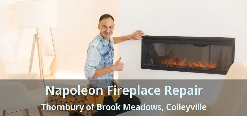 Napoleon Fireplace Repair Thornbury of Brook Meadows, Colleyville - TX
