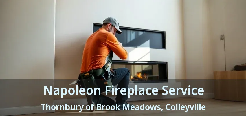Napoleon Fireplace Service Thornbury of Brook Meadows, Colleyville - TX