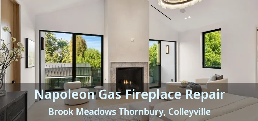 Napoleon Gas Fireplace Repair Brook Meadows Thornbury, Colleyville - TX