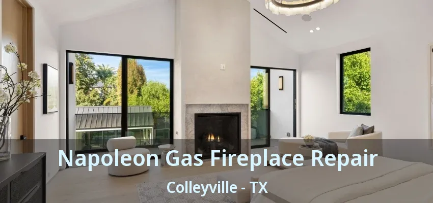 Napoleon Gas Fireplace Repair Colleyville - TX