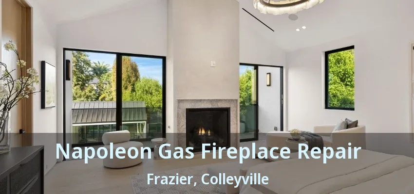 Napoleon Gas Fireplace Repair Frazier, Colleyville - TX