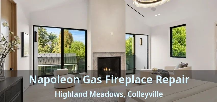 Napoleon Gas Fireplace Repair Highland Meadows, Colleyville - TX