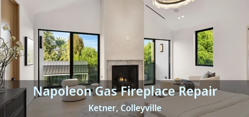 Napoleon Gas Fireplace Repair Ketner, Colleyville - TX