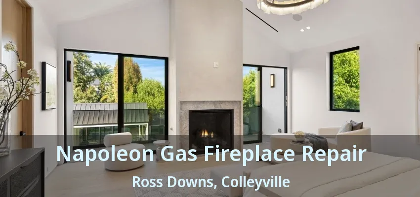 Napoleon Gas Fireplace Repair Ross Downs, Colleyville - TX