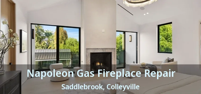 Napoleon Gas Fireplace Repair Saddlebrook, Colleyville - TX