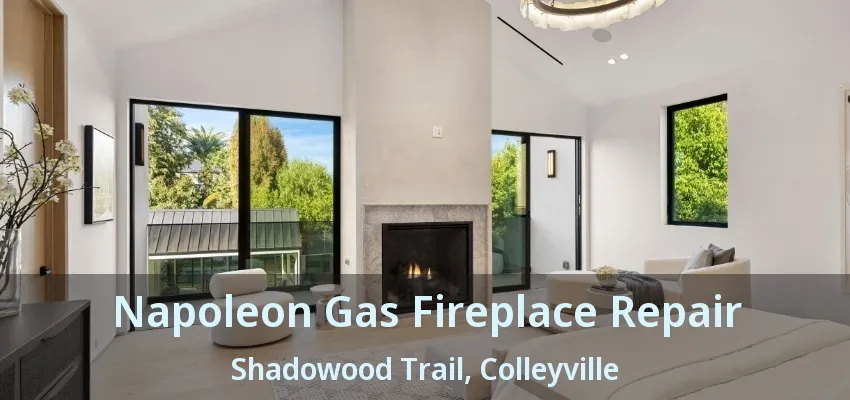 Napoleon Gas Fireplace Repair Shadowood Trail, Colleyville - TX