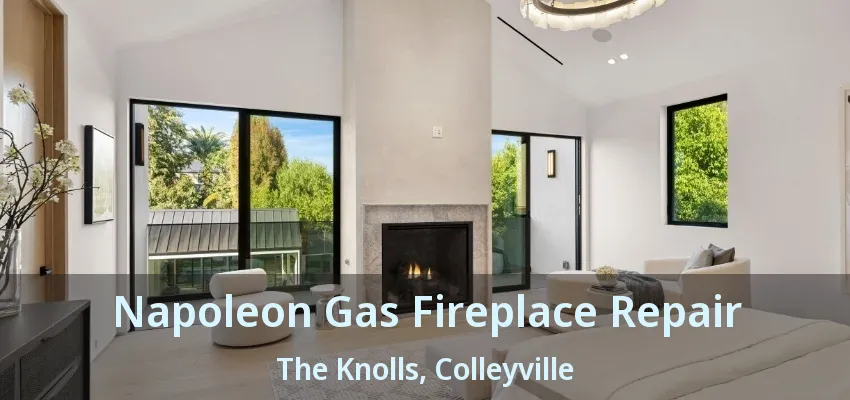 Napoleon Gas Fireplace Repair The Knolls, Colleyville - TX