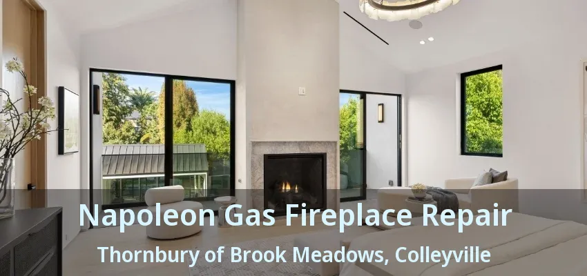 Napoleon Gas Fireplace Repair Thornbury of Brook Meadows, Colleyville - TX