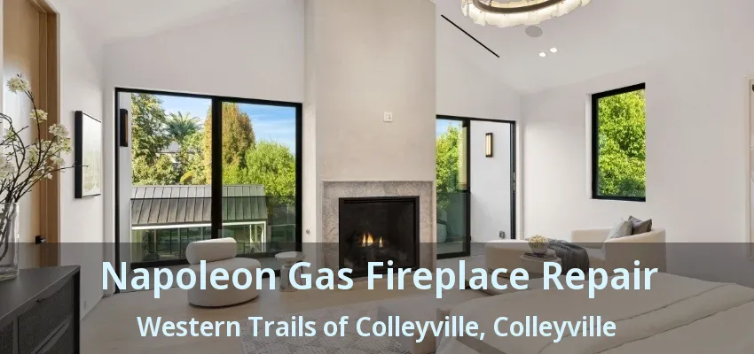 Napoleon Gas Fireplace Repair Western Trails of Colleyville, Colleyville - TX