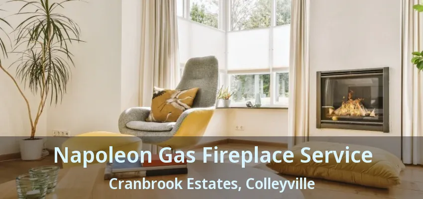 Napoleon Gas Fireplace Service Cranbrook Estates, Colleyville - TX