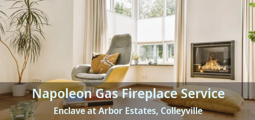 Napoleon Gas Fireplace Service Enclave at Arbor Estates, Colleyville - TX
