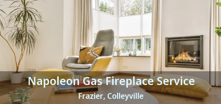 Napoleon Gas Fireplace Service Frazier, Colleyville - TX