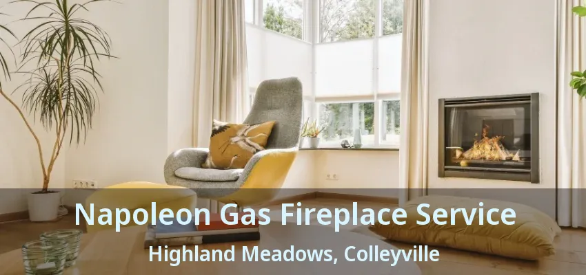 Napoleon Gas Fireplace Service Highland Meadows, Colleyville - TX