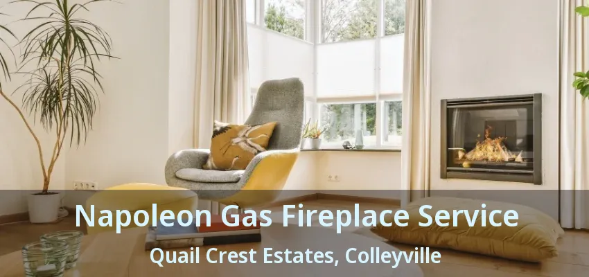 Napoleon Gas Fireplace Service Quail Crest Estates, Colleyville - TX