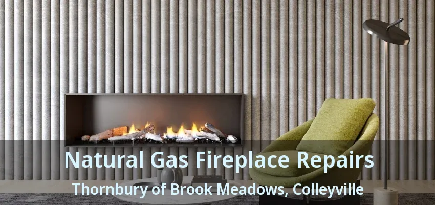 Natural Gas Fireplace Repairs Thornbury of Brook Meadows, Colleyville - TX