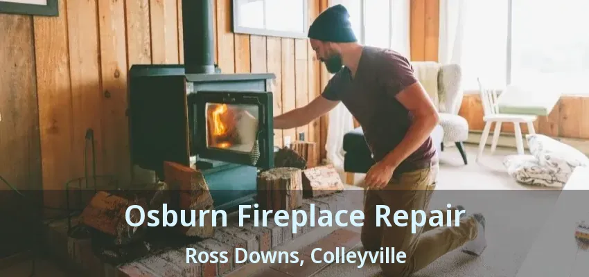 Osburn Fireplace Repair Ross Downs, Colleyville - TX