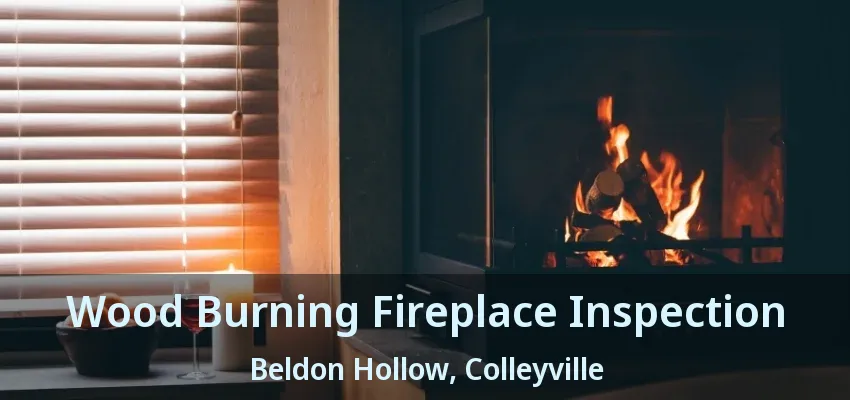 Wood Burning Fireplace Inspection Beldon Hollow, Colleyville - TX