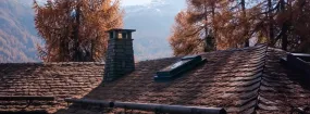 Chimney Animal Removal Colleyville