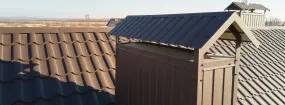 Chimney Cap Services Colleyville
