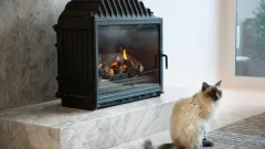 Wood Burning Fireplace Repair Colleyville