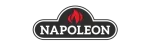 Napoleon Enviro Fireplace Repair in Colleyville